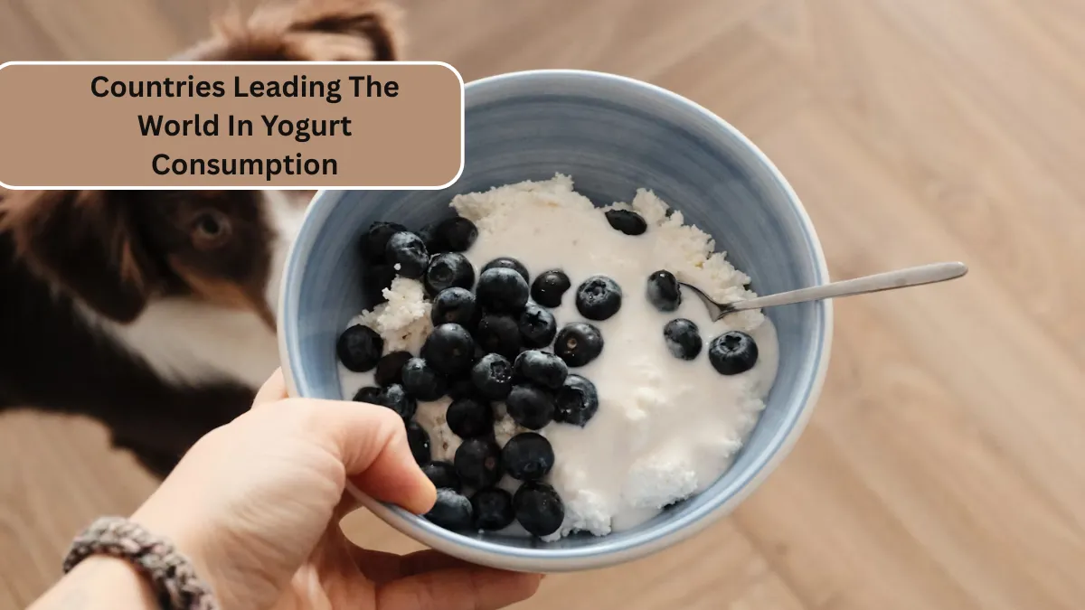 Top 7 Countries Leading The World In Yogurt Consumption