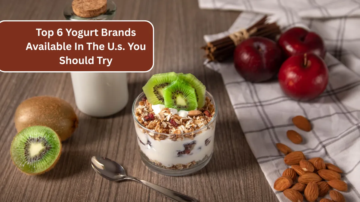Top 6 Yogurt Brands Available In The U.s. You Should Try