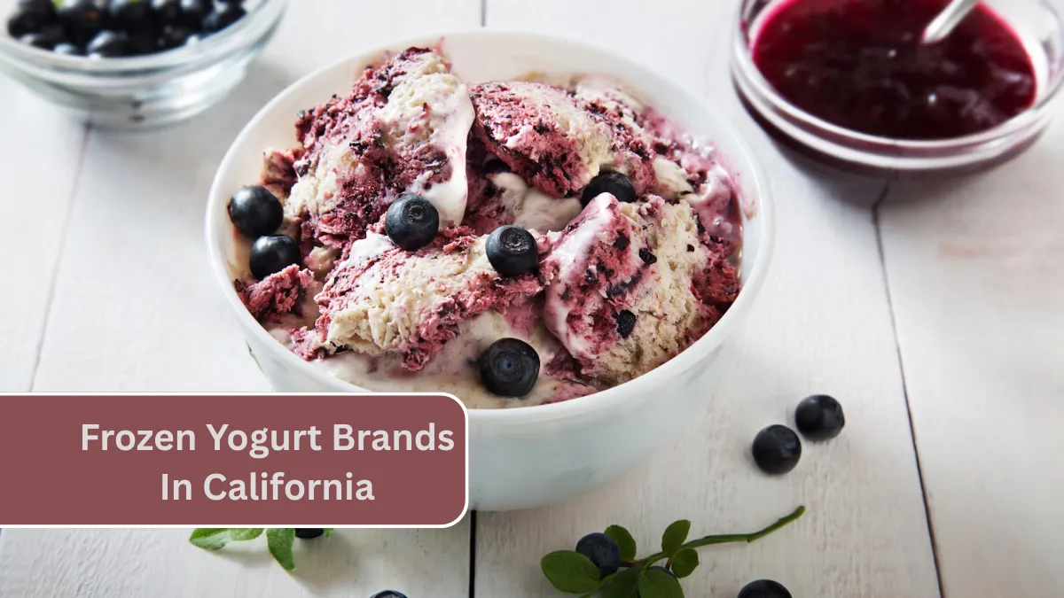 7 Best Frozen Yogurt Manufacturing Companies & Frozen Yogurt Brands In California